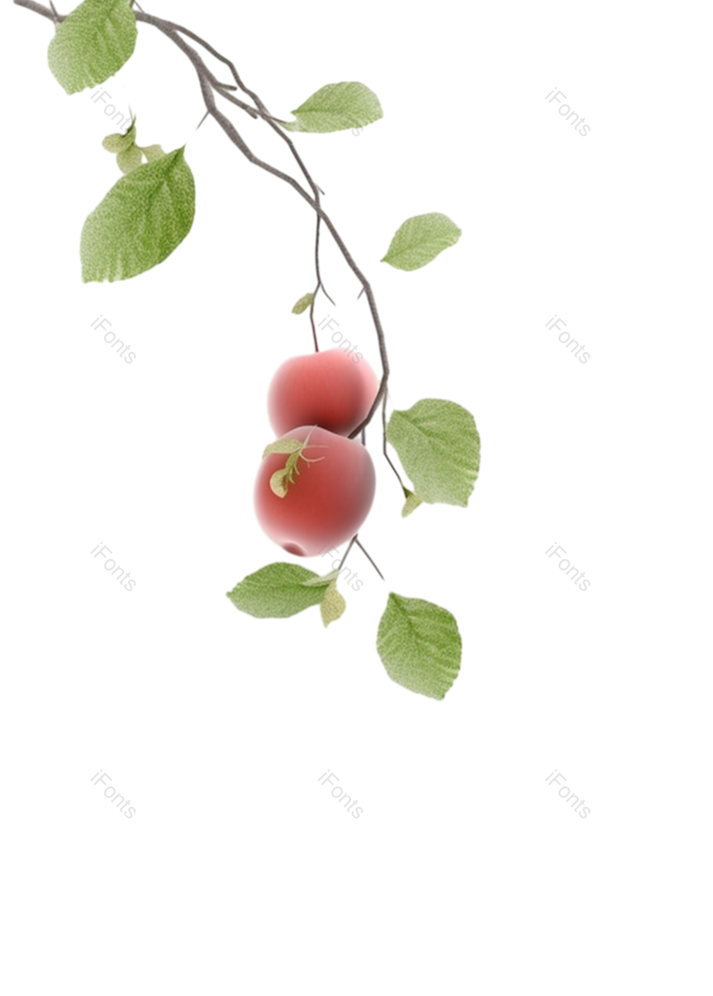芒种图片,水果元素,树叶PNG,植物免抠素材